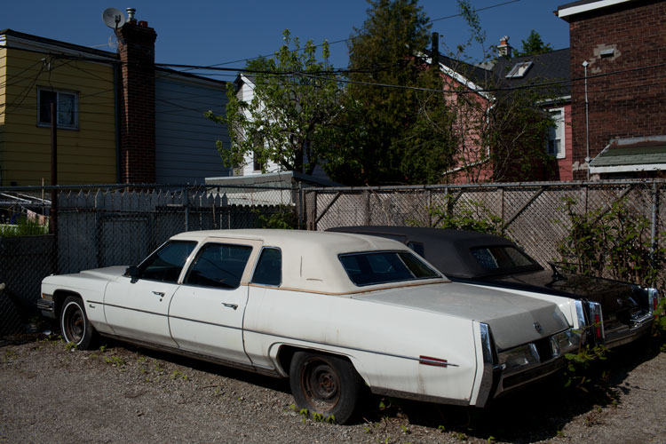 Duncan McLaren Photography