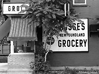 Duncan McLaren Photography