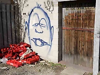 Duncan McLaren Photography