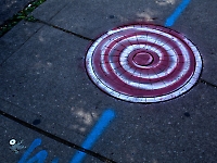 Duncan McLaren Photography