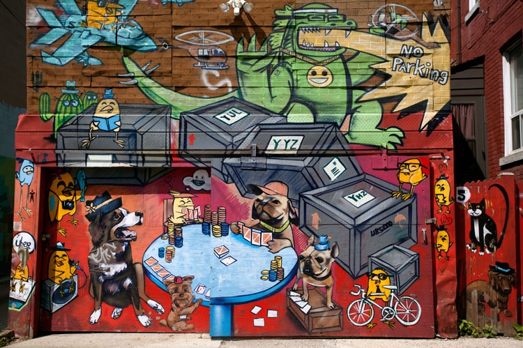 Duncan McLaren Photography