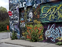 Duncan McLaren Photography