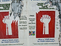 Duncan McLaren Photography