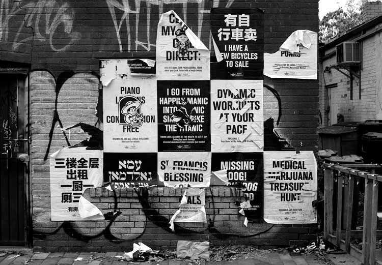 Duncan McLaren Photography