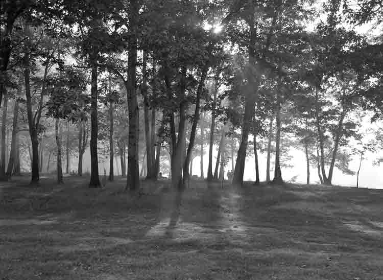 Duncan McLaren Photography