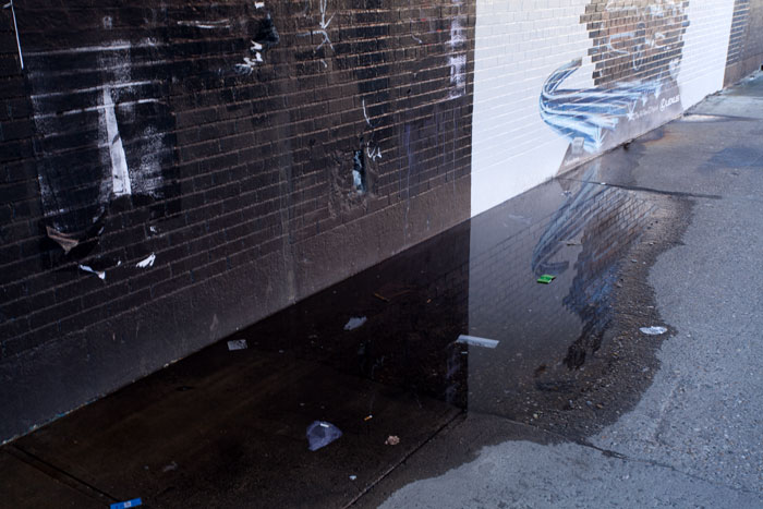 Duncan McLaren Photography