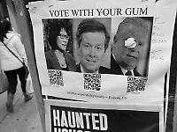 Duncan McLaren Photography