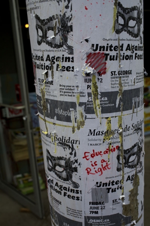 Duncan McLaren Photography