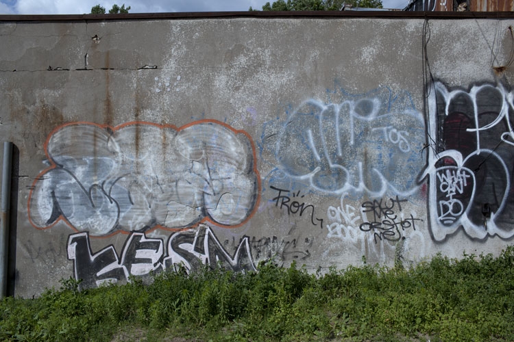 Duncan McLaren Photography