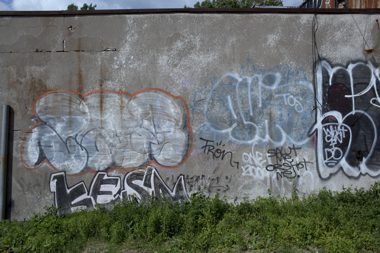 Duncan McLaren Photography